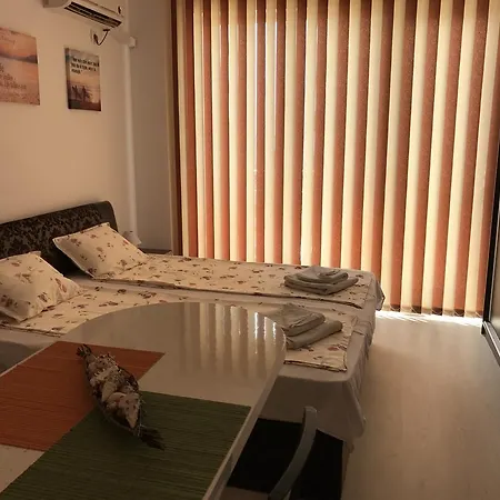 شقة Teddy House